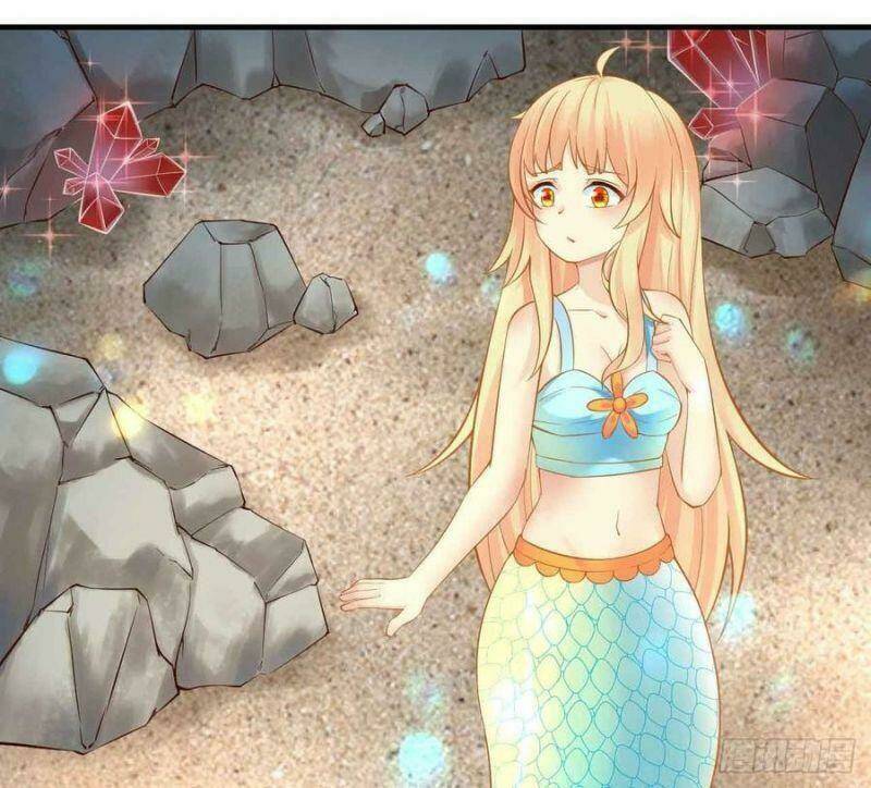 nhân ngư học trưởng, đừng ôm ta! chapter 84 23