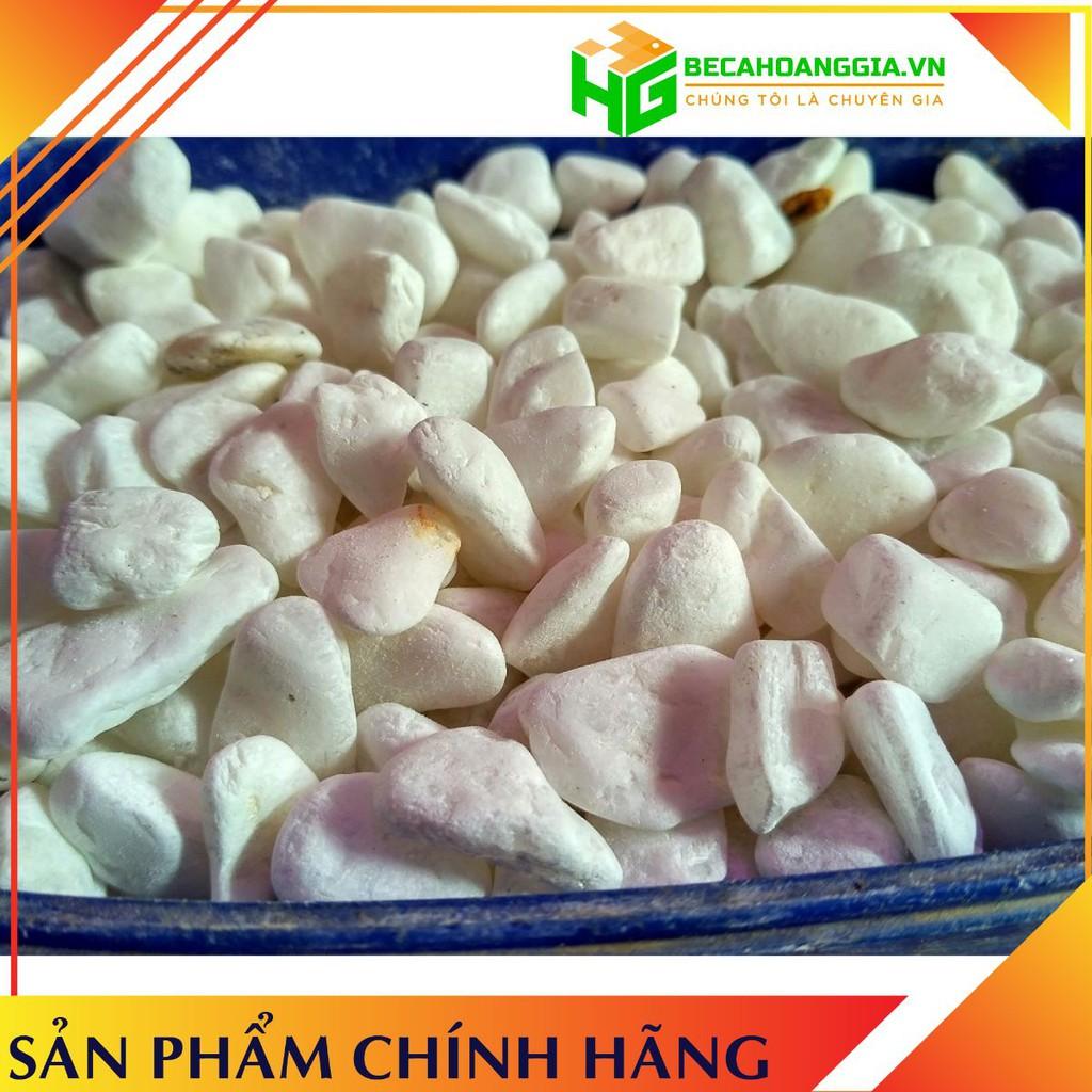 Đá trắng trang trí gốc cây, bể cá - túi 1kg