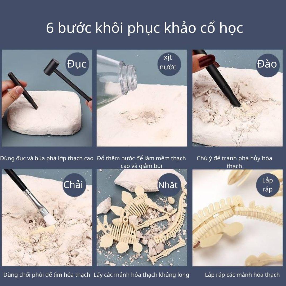 Mô hình Khủng Long hóa thạch - truy tìm dấu vết hóa thạch