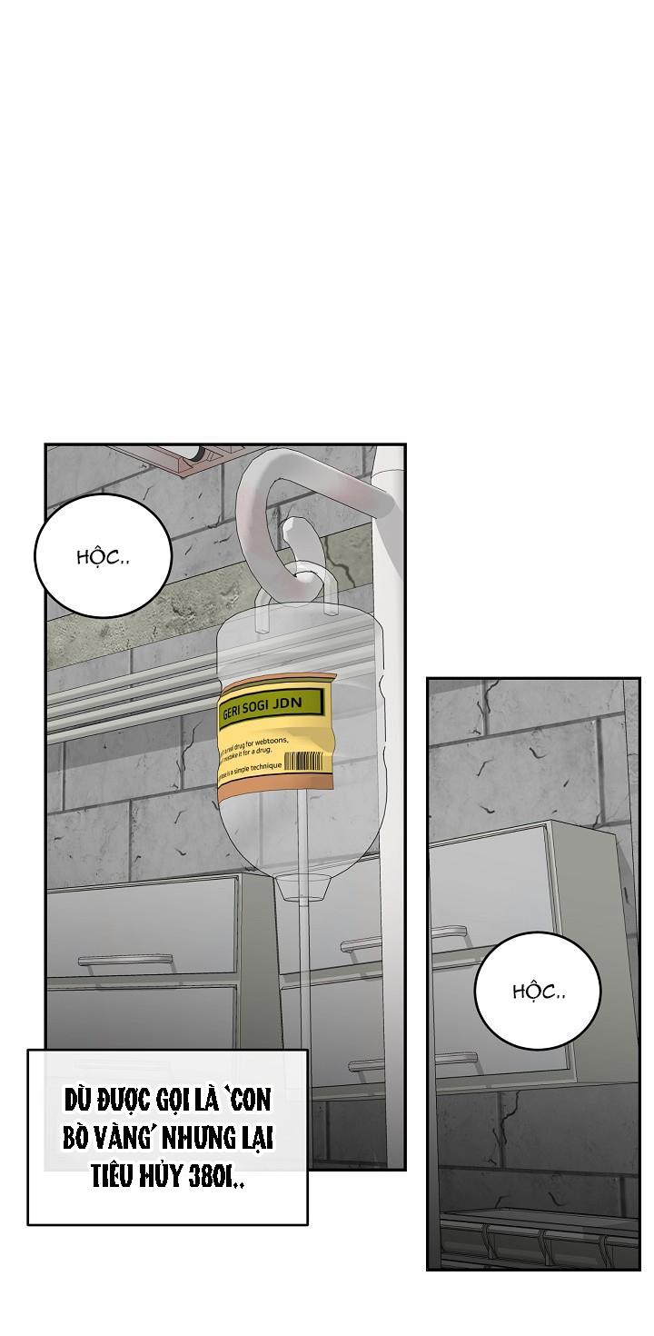 dưỡng thú cưng chapter 28 63