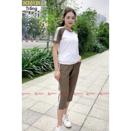 mã 2CF01 - Bộ thể thao nữ cotton lửNg phối tay CARDINA