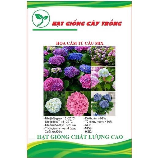 Hạt giống hoa cẩm tú cầu nhiều màu CT429 - Gói 5 hạt