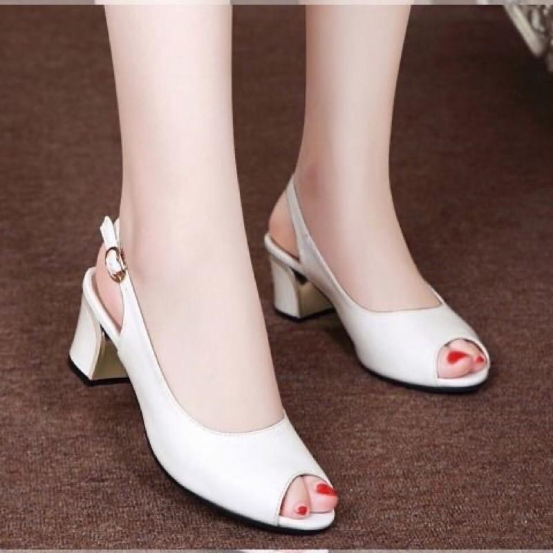 Giày big size 35-42 .hàng Quảng Châu