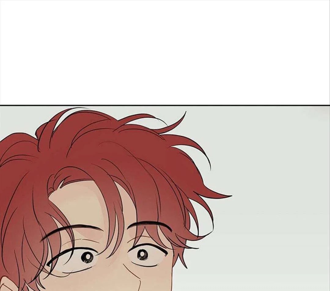 chuyện quái gì với giấc mơ đó vậy chapter 33 17