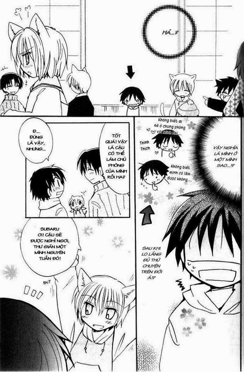 boku x neko? chapter 5 15