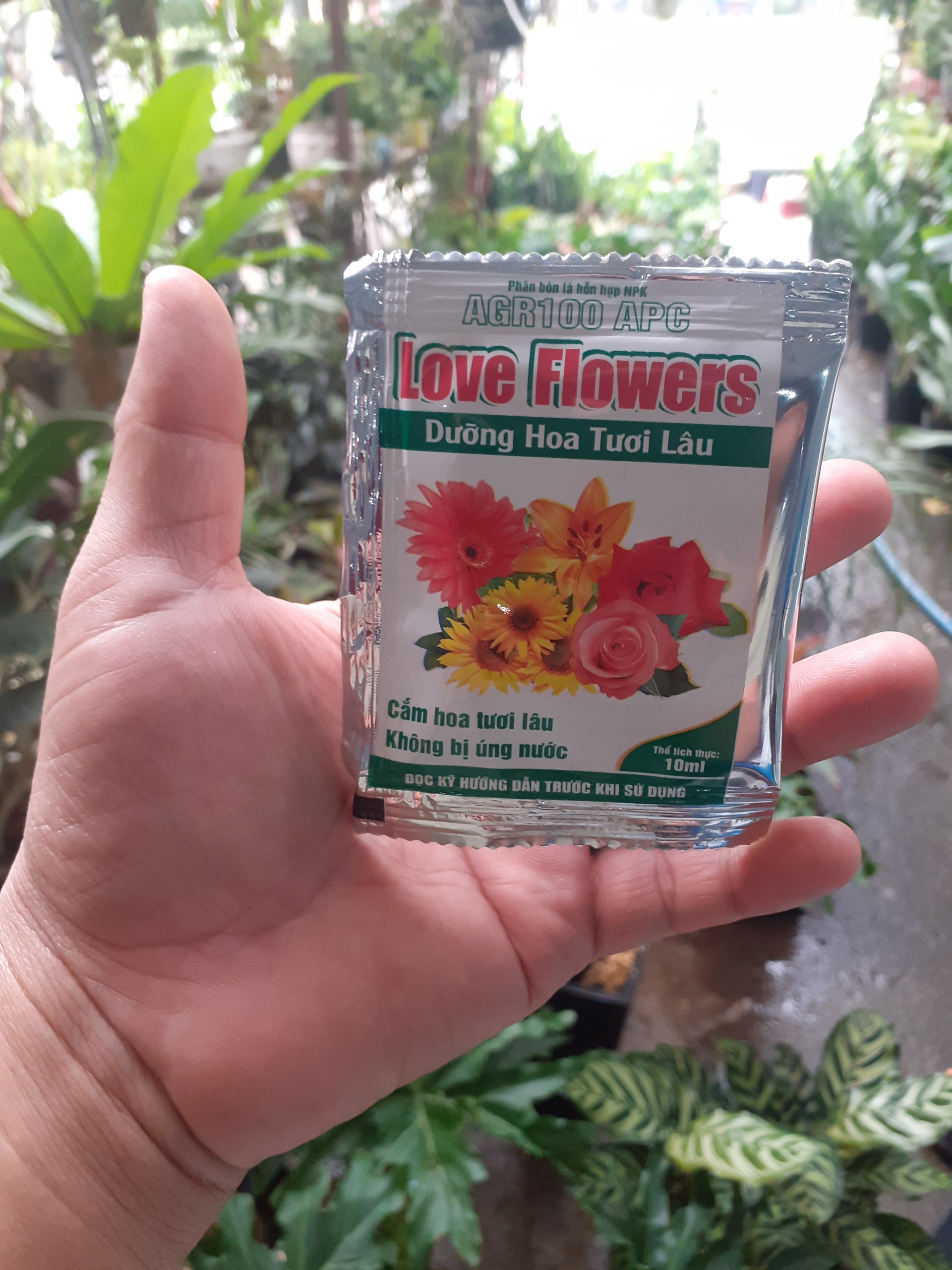 Combo 5 gói dưỡng hoa tươi lâu (love flowers). 