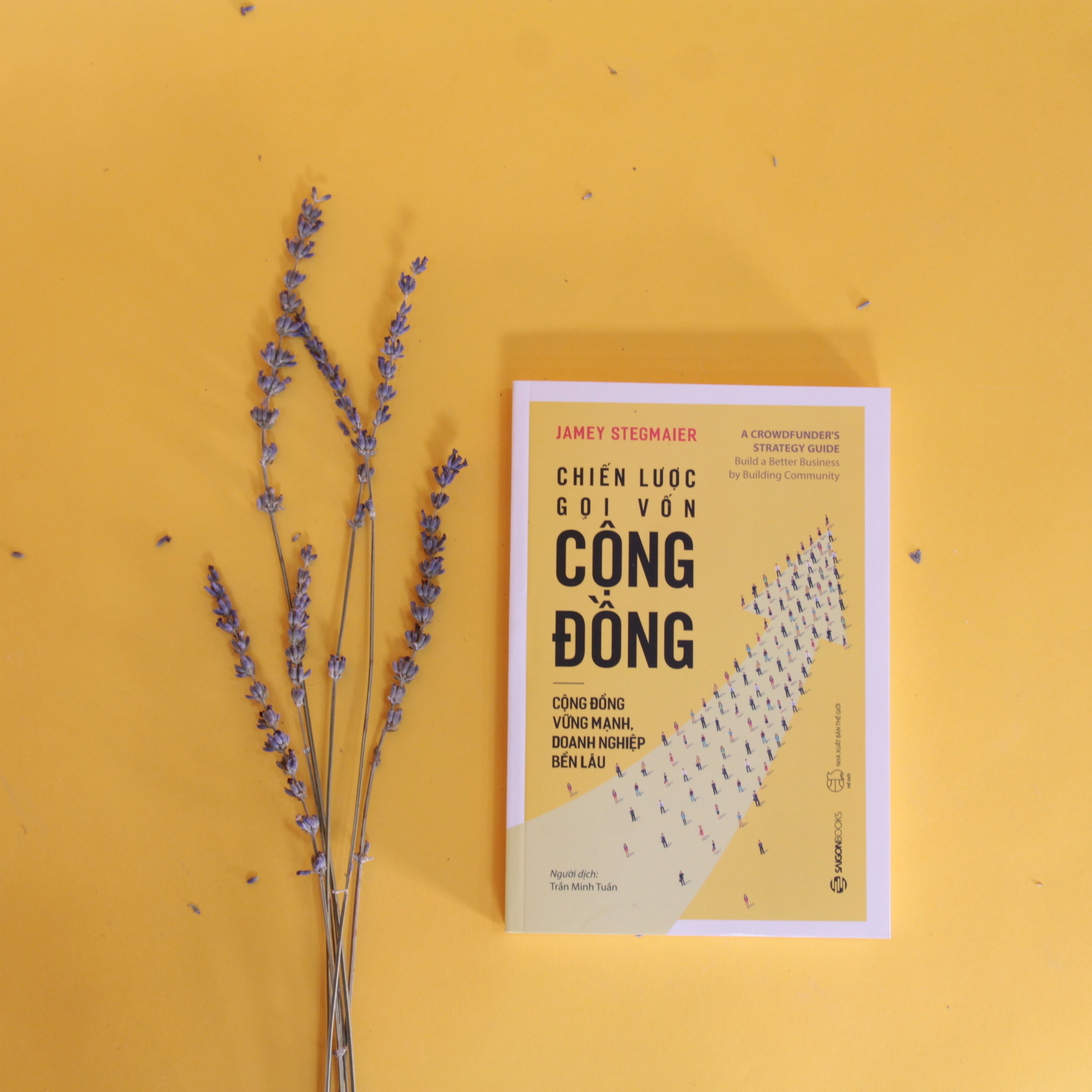 Chiến lược gọi vốn cộng đồng  - Tác giả Jamey Stegmaier