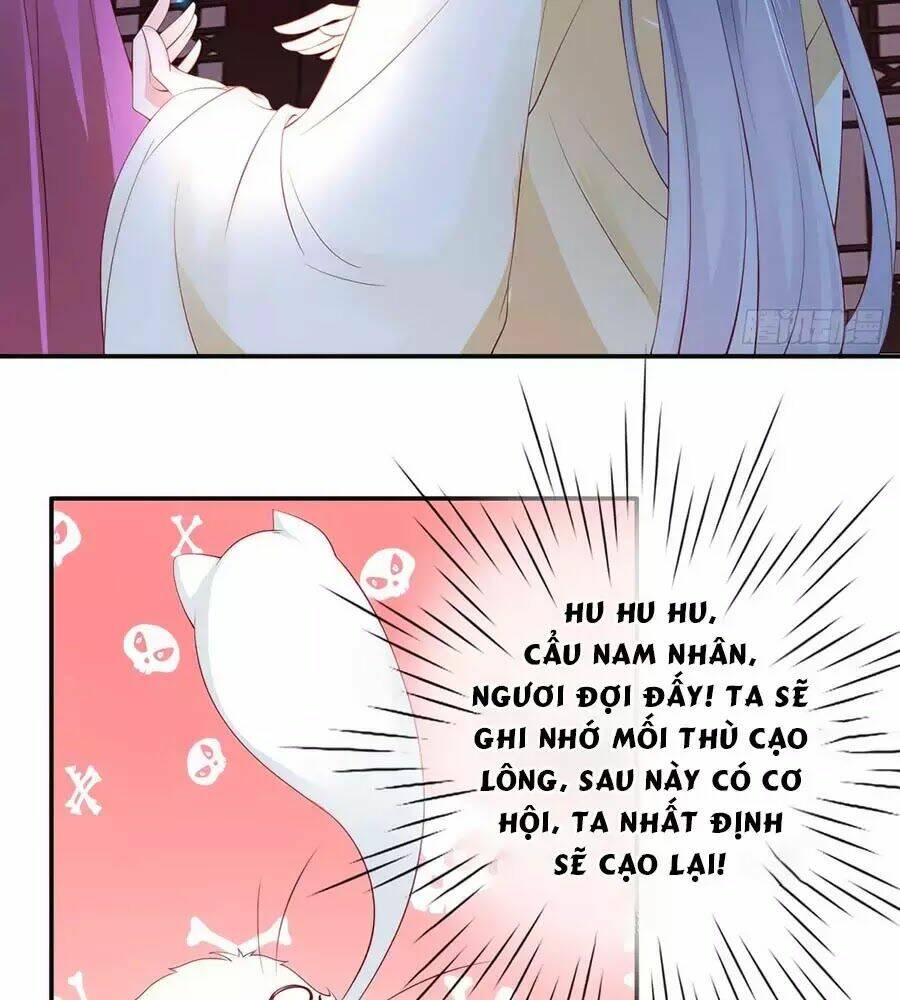 dưỡng thú vi phi chapter 3 23