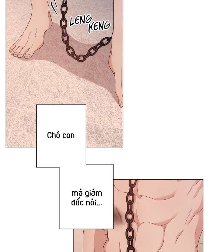 hội chứng minmotion chapter 8 40