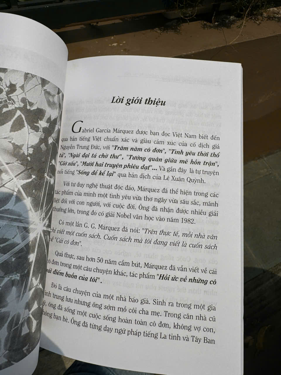 (Nobel Văn học 1982) HỒI ỨC VỀ NHỮNG CÔ GÁI ĐIẾM BUỒN CỦA TÔI – Gabriel Garcia Marquez – First News – NXB Tổng hợp HCM