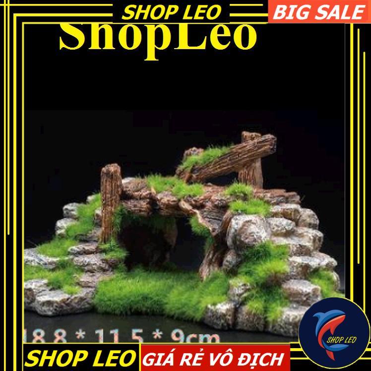 CẦU ĐÁ PHỦ RÊU - TRANG TRÍ THỦY SINH- HANG CÁ THỦY SINH