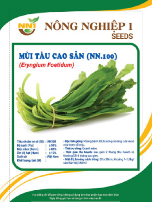 Hạt giống rau mùi tàu cao sản