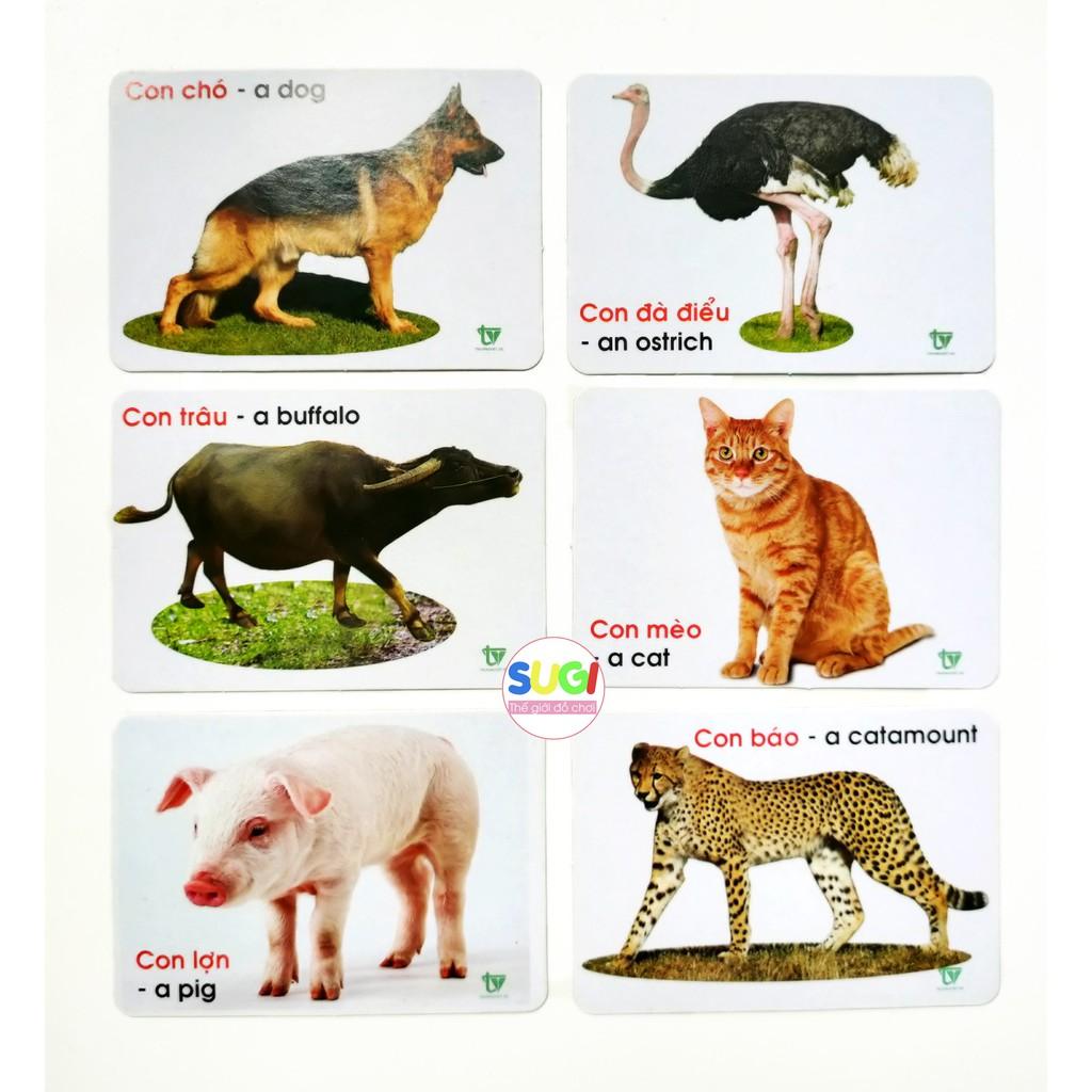 Thẻ học chủ đề động vật song ngữ - Bộ 25 thẻ