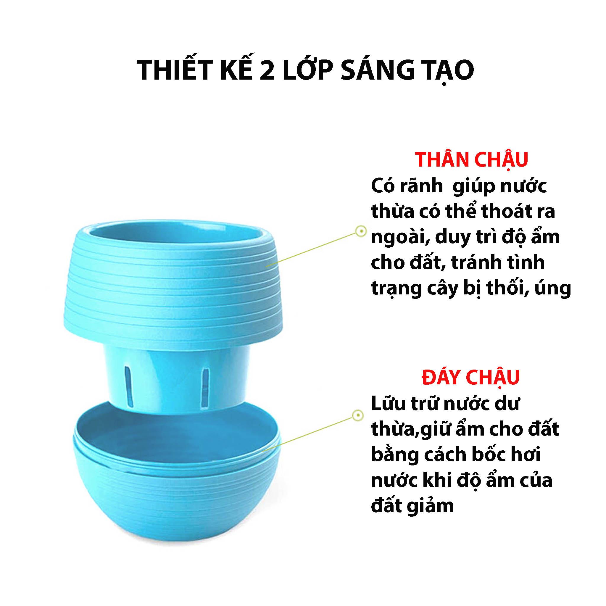 Chậu Trồng Sen Đá Mini TH Garden - Có Đáy Trữ Nước, Trồng Sen Đá, Xương Rồng Cực Đẹp - Sử Dụng Decor Phòng, Trang Trí Sân Vườn