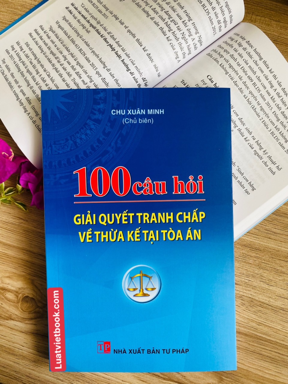 100 Câu Hỏi Giải Quyết Tranh Chấp Về Thừa Kế Tại Toà Án