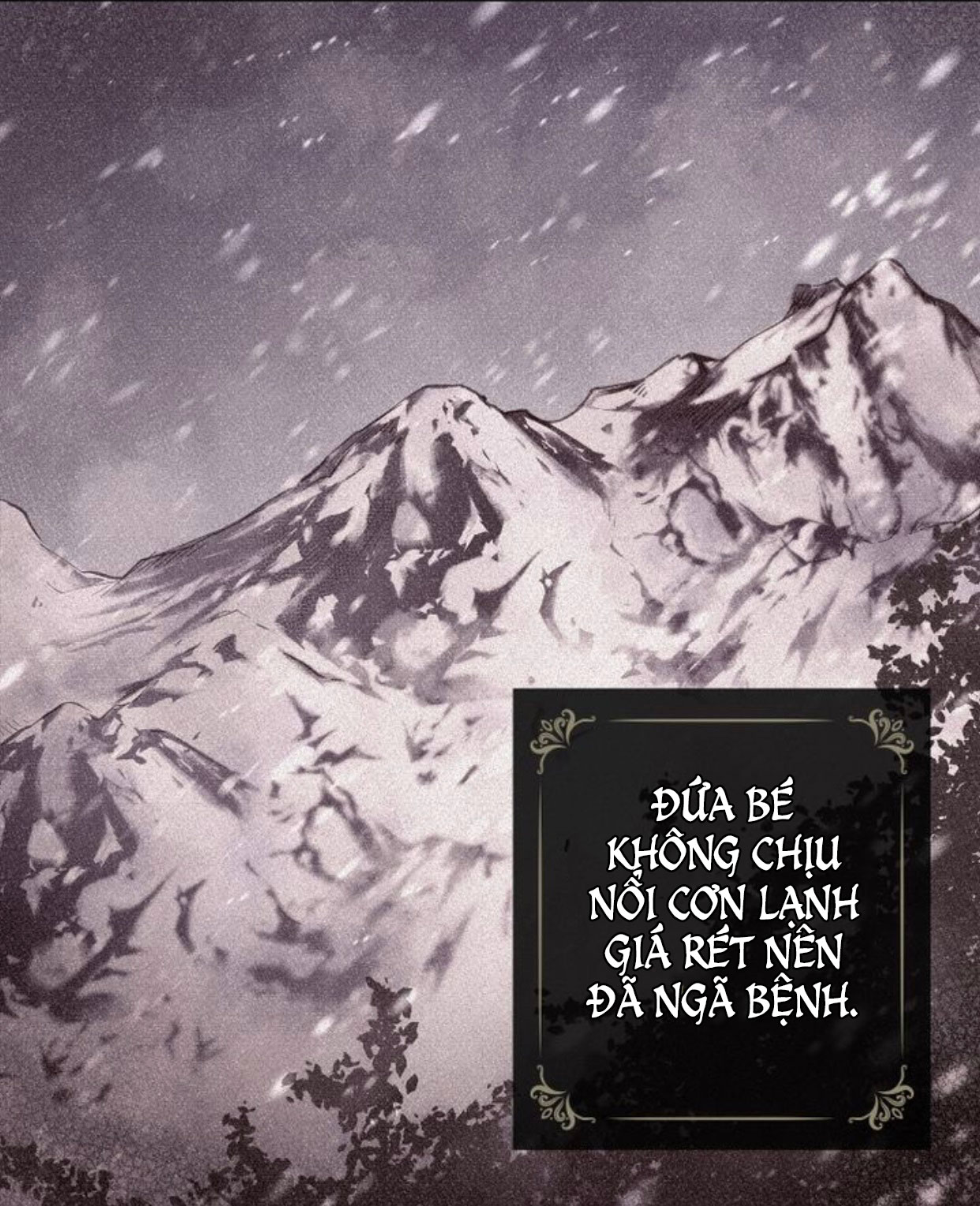 đi tìm nàng camellia chapter 1 43