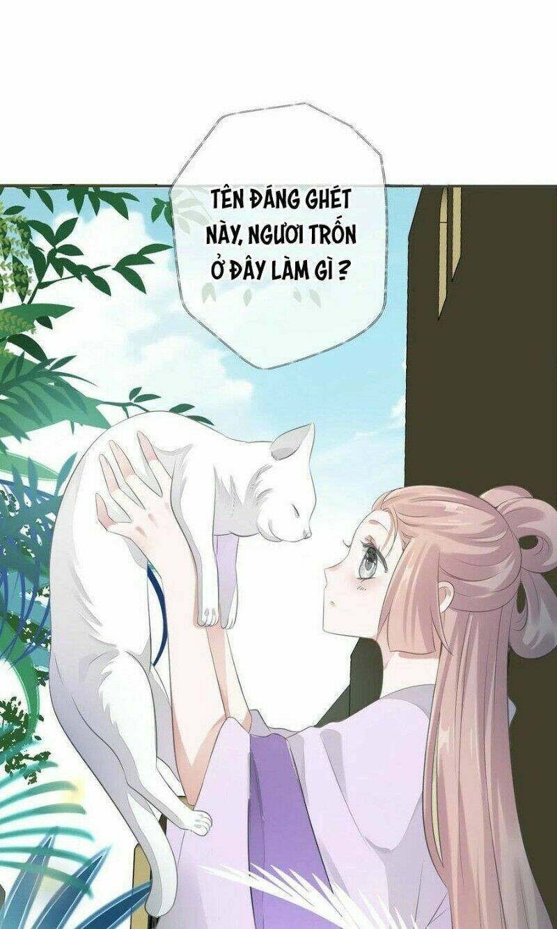 điền viên mật sủng: cô vợ nóng bỏng chapter 95 37