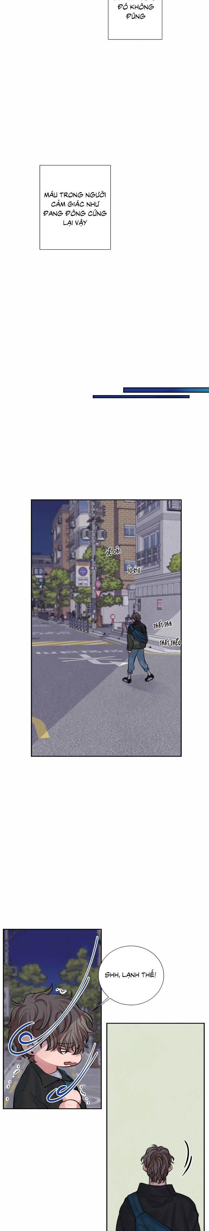 tiếng san hô nở chapter 5 11