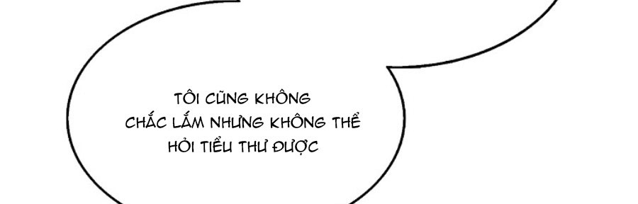 tôi sẽ cố gắng bảo vệ em gái chapter 30.1 216