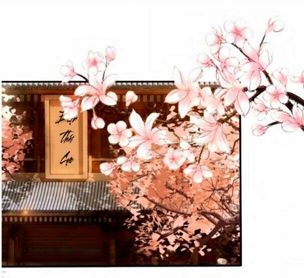 trọng sinh bá sủng nhiếp chính vương quá mạnh mẽ chapter 15 2