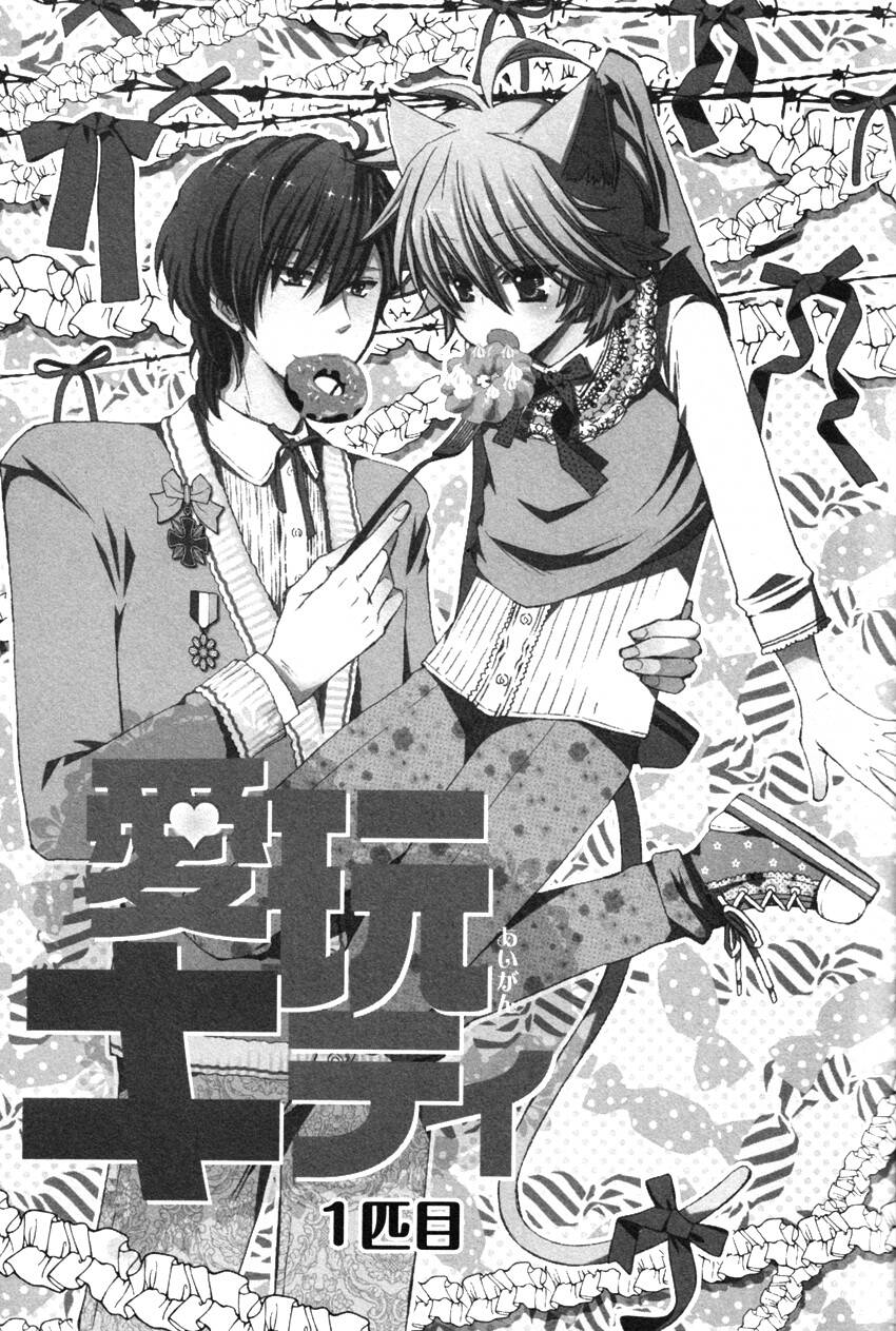 aigan kitty chapter 1 11