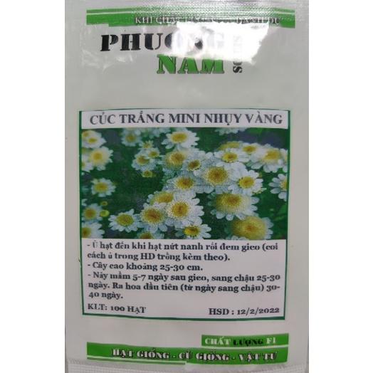 Hạt giống hoa cúc trắng mini nhụy vàng 50 hạt
