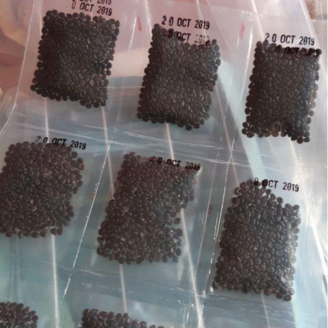 Hạt Giống Rau Nhút - Rau Rút Dút KNS3712 - Gói 50 hạt