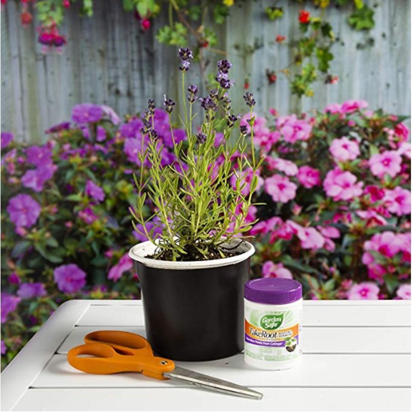 Bột kích rễ giâm cành - USA - Garden safe TakeRoot - hormone dạng bột siêu kích rể