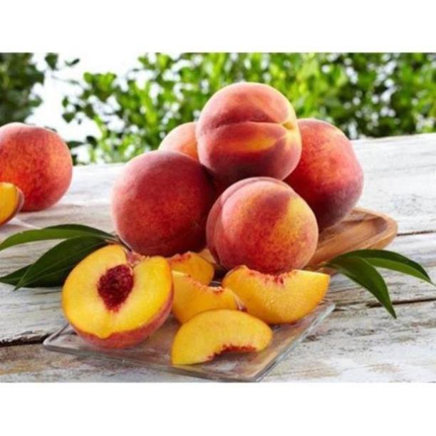 CÂY GIỐNG ĐÀO TIÊN NHIỆT ĐỚI NHẬT BẢN