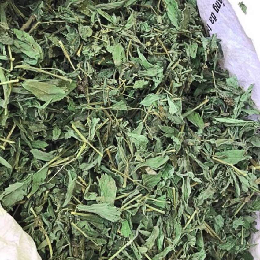 TRÀ CỎ NGỌT NGUYÊN LÁ 500g sấy khô thượng hạng chỉ có lá