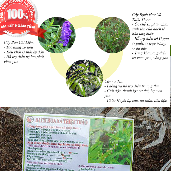 Cây bạch hoa xà thiệt thảo - Khô hữu cơ gói 1kg