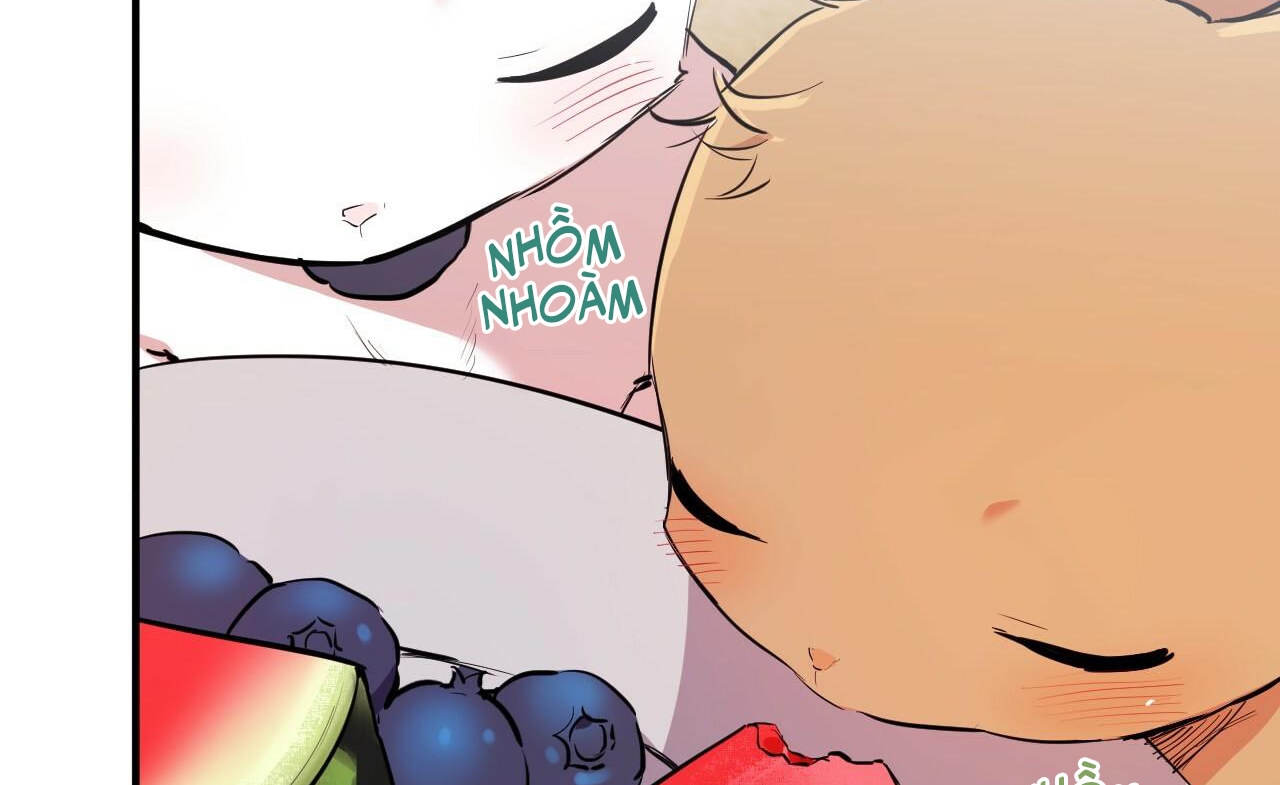 đàn thỏ của habibi chapter 36 7