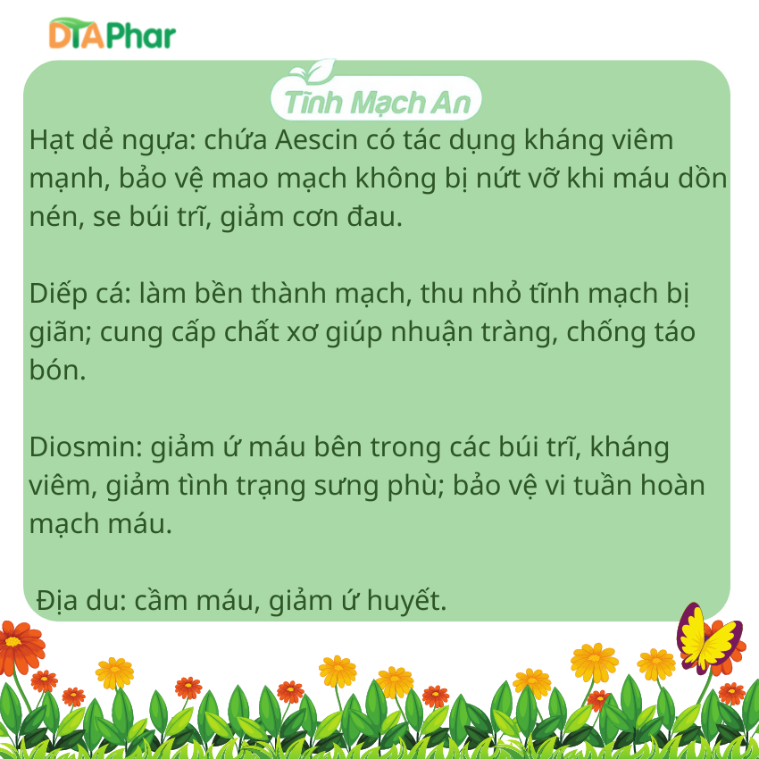 Viên uống Tĩnh Mạch An hỗ trợ nhuận tràng cải thiện suy tĩnh mạch, táo bón, trĩ Hộp 30 viên Tâm An Pharma