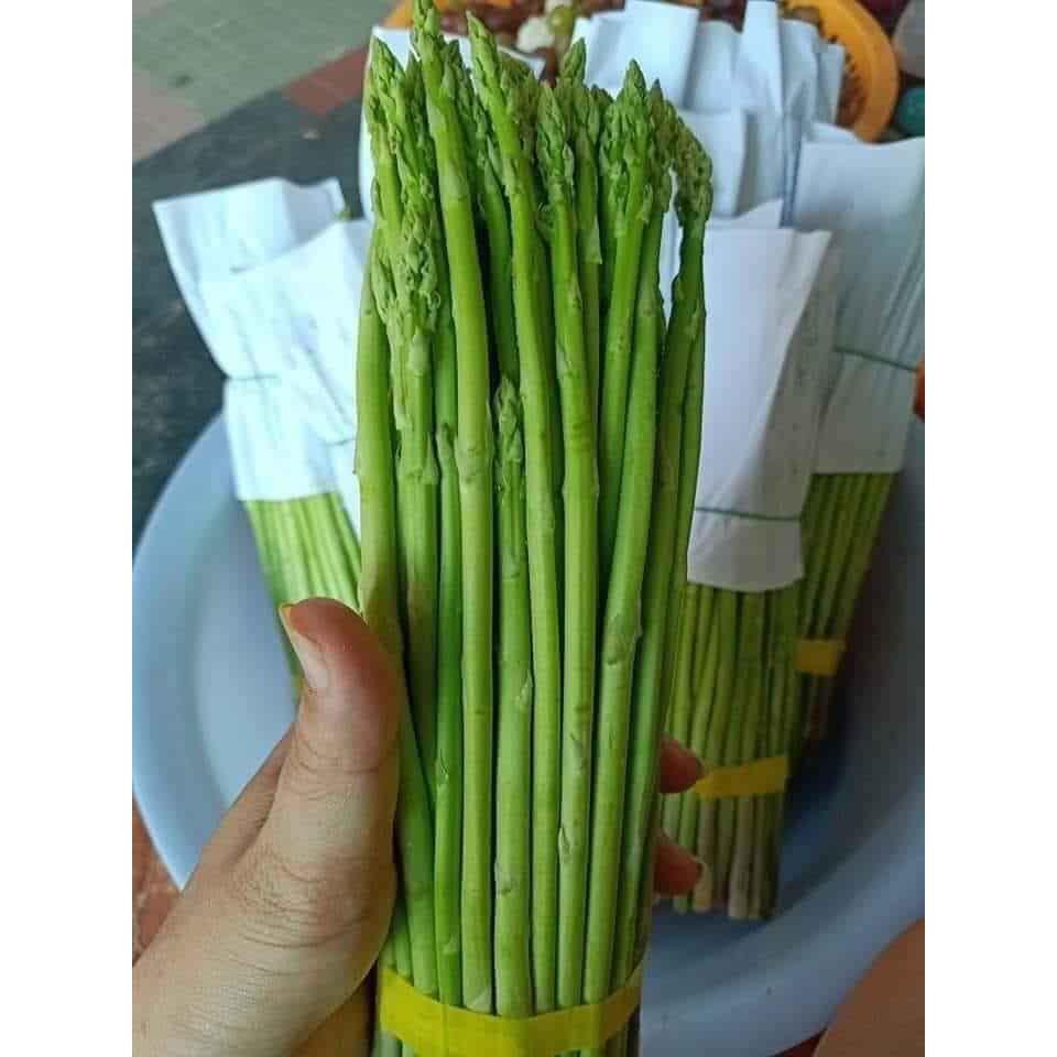 Hạt Giống Măng Tây Xanh Cao Sản 0.2 gram