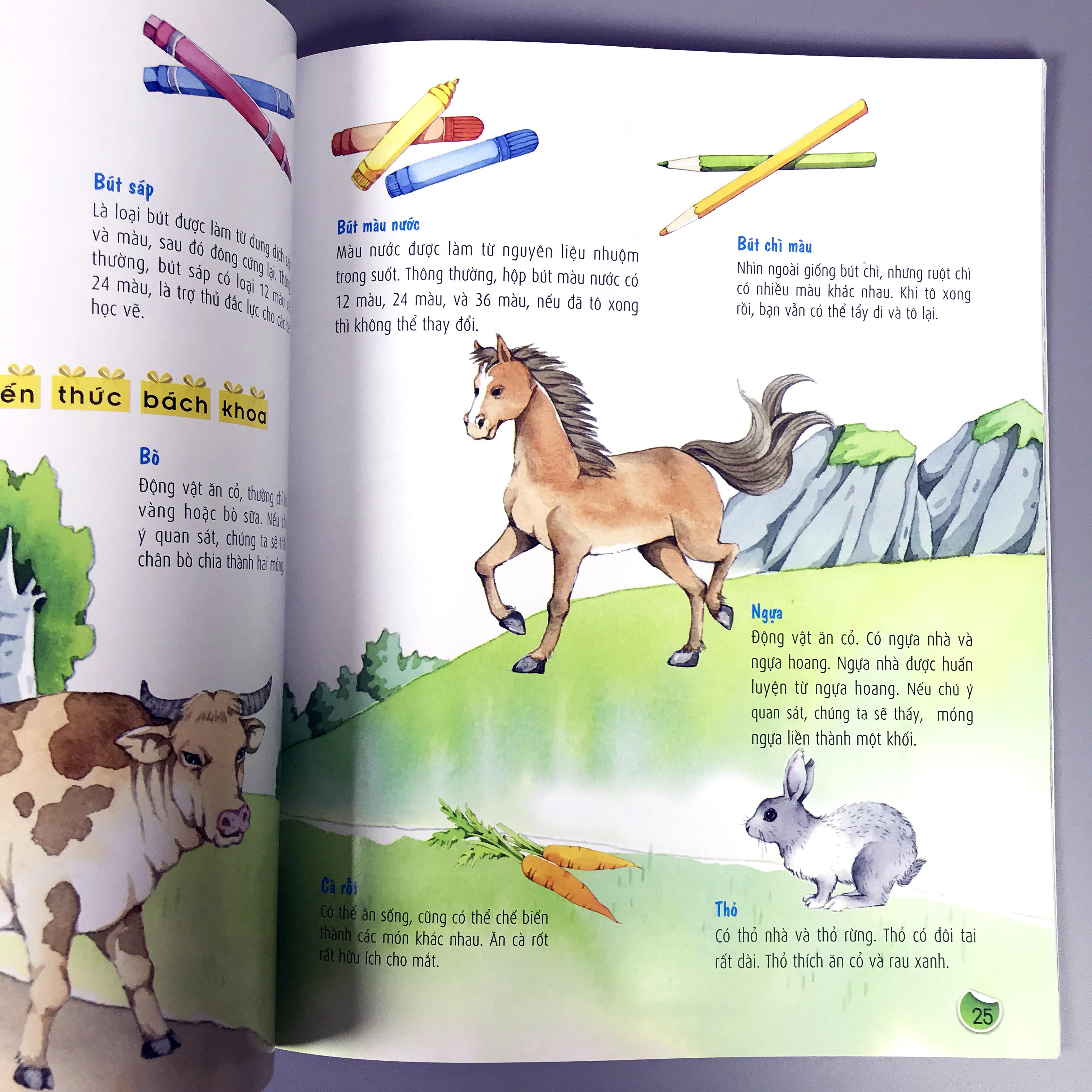 Combo Bách Khoa Nuôi Dưỡng Thói Quen Tốt Cho Trẻ