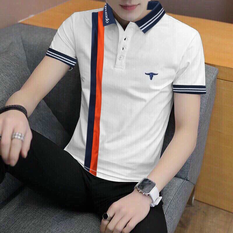 Áo Thun Polo Nam Tay Ngắn Unisex thương hiệu Chandi thiết kế cố bẻ thêu không bong tróc khi giặt PLN6