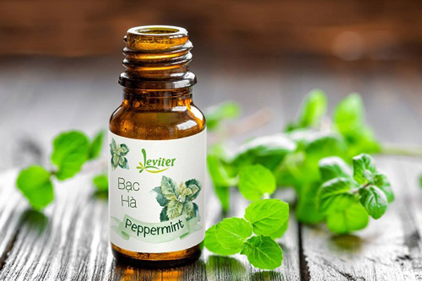 Combo 3 Chai Tinh Dầu Leviter Thư Giãn 10ml Sả chanh, Oải hương, Bạc hà - Relax Essential oil