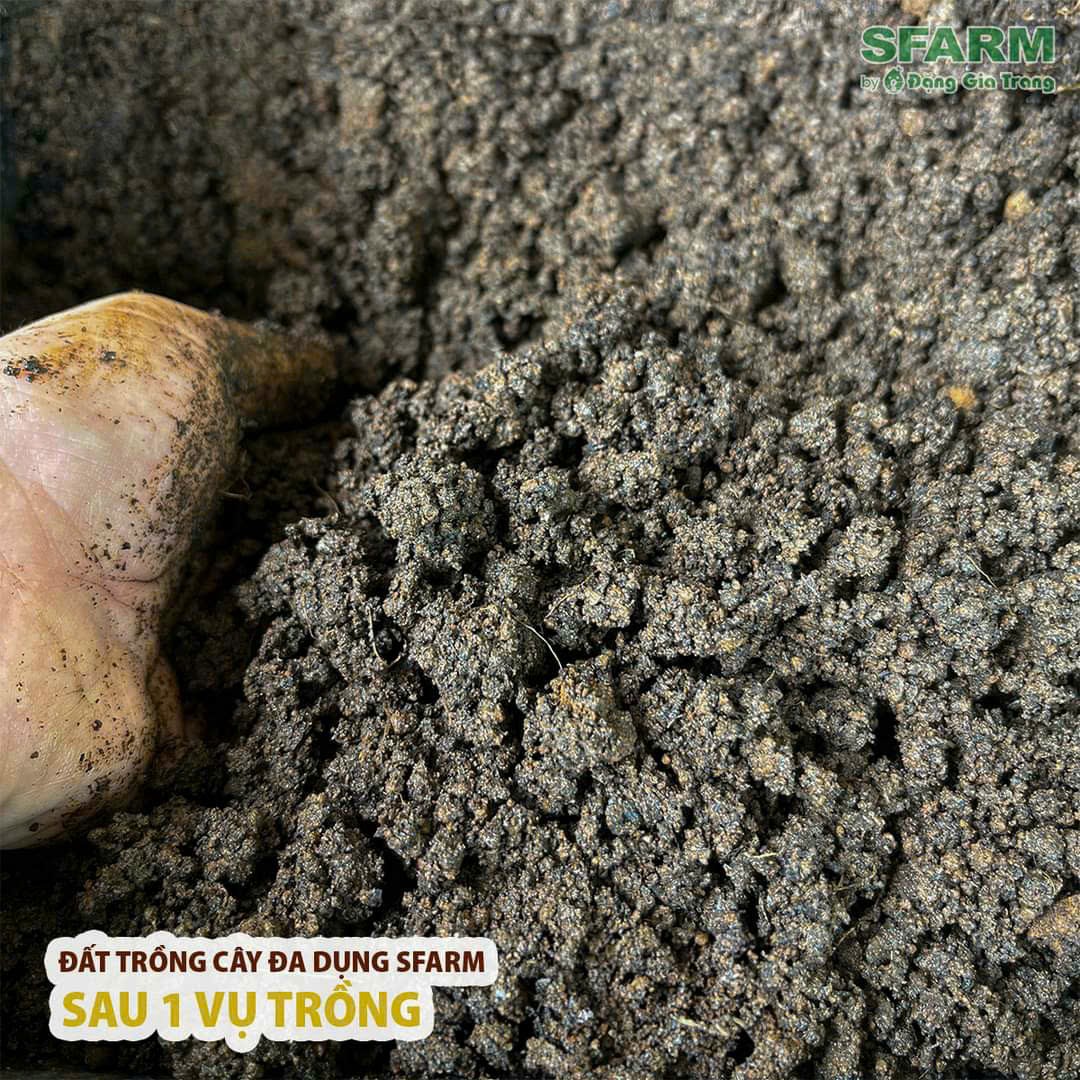 Đất trồng cây đa dụng SFARM - Bao 20L