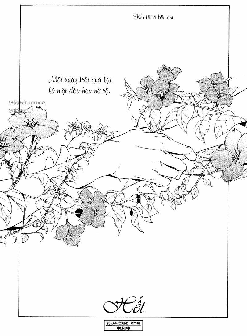 only the flower knows chapter 12 61