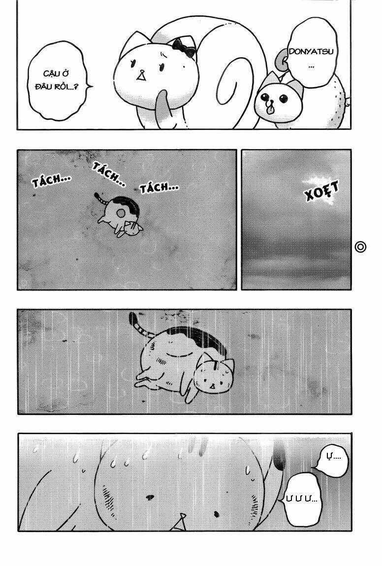 donyatsu chapter 38 12