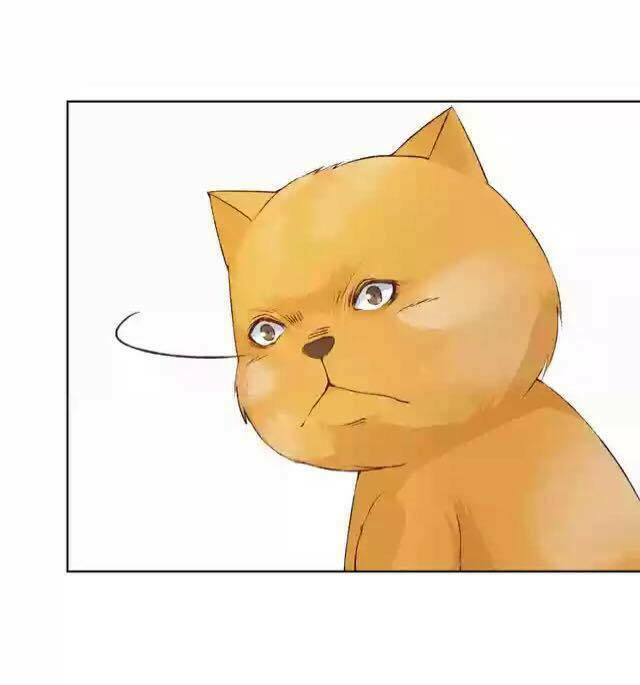 tôi không phải đa nhân cách chapter 30 62