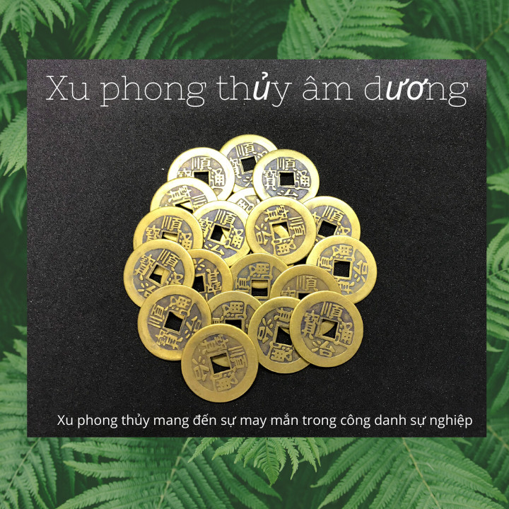 Combo 20 đồng xu phong thủy, chất liệu đồng, đem may mắn, tài lộc, cầu bình an – TMT Collection – SP001136