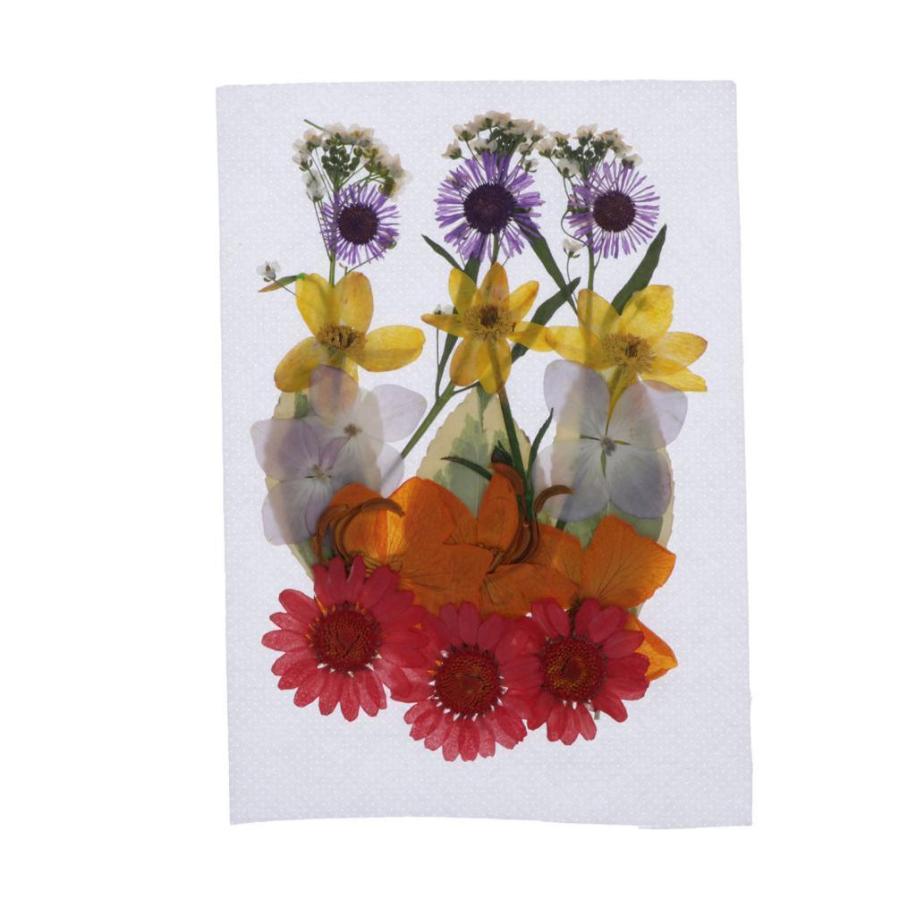 1 Bag Of Real Dried Pressed Flowers Leaves Assorted Colors for Making Greeting Card and Crafts, 2 - 3cm