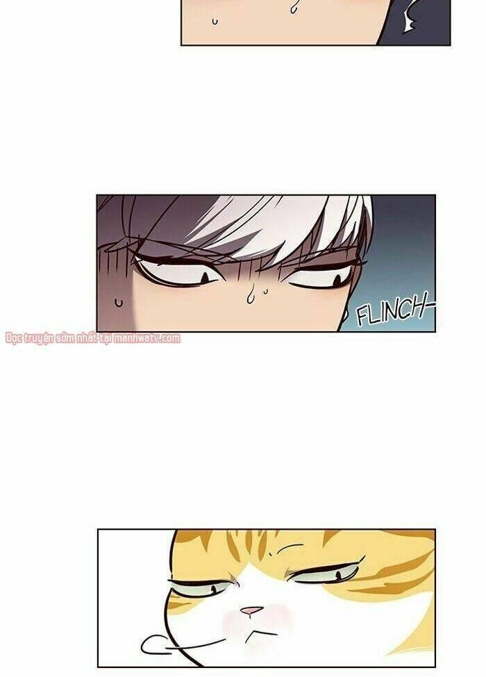 biến thân thành mèo chapter 50 17