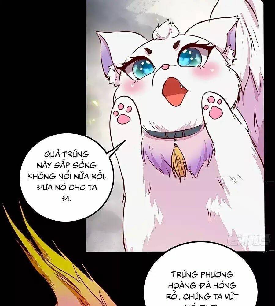 thần y khí nữ: ngự thú cuồng phi của quỷ đế chapter 70 7