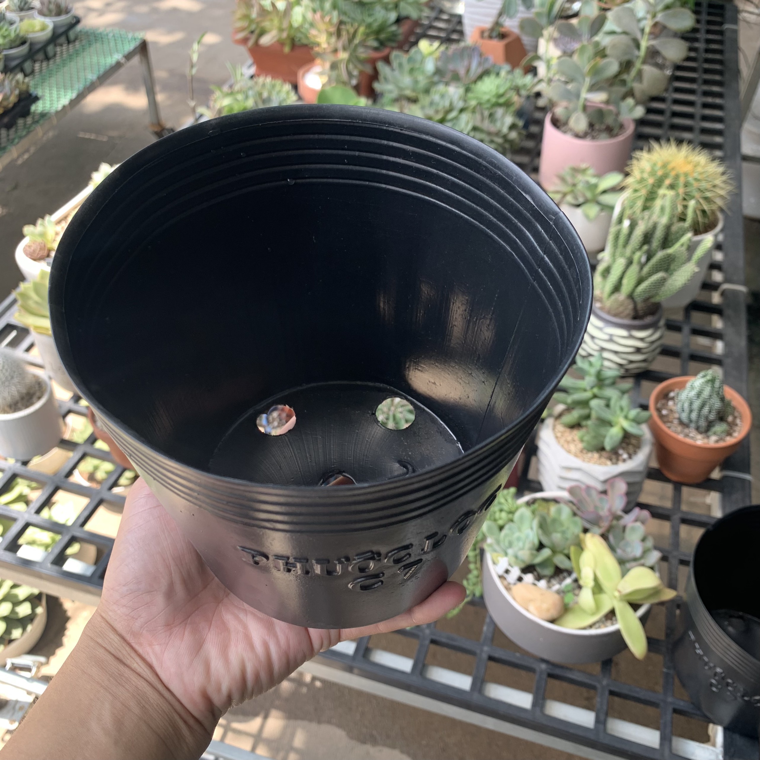 50 Bầu ươm cây cứng C7, chậu nhựa đen trồng cây, ươm cây hàng tốt