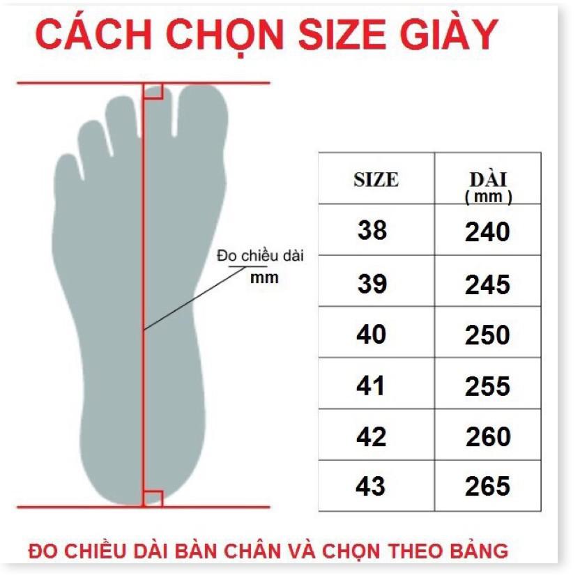 Giày cầu lông - Xanh nước biển,39