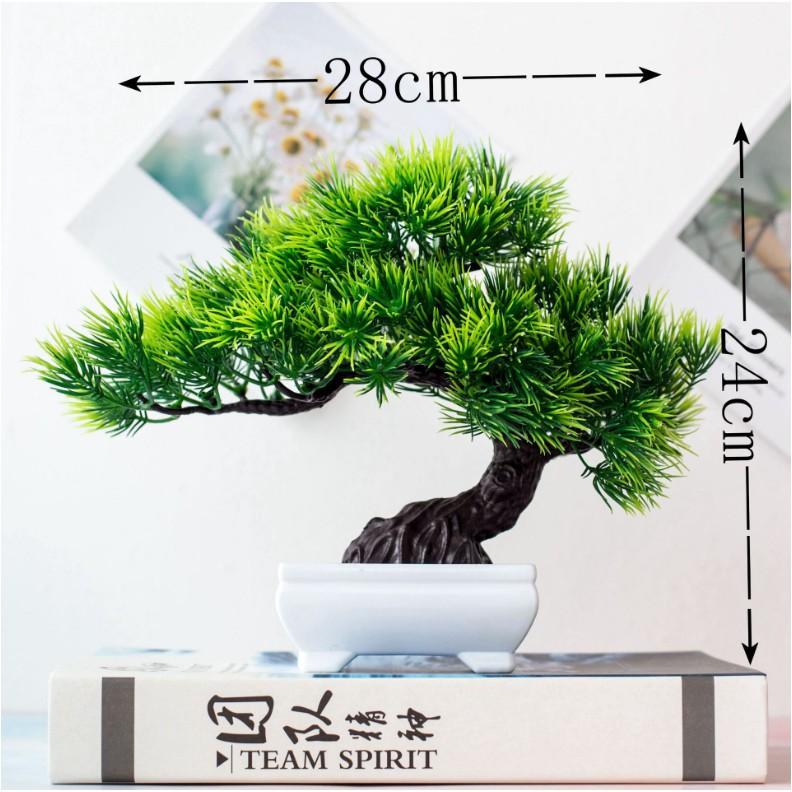 Chậu Cây Thông Xanh Bonsai Giả Để Bàn, trang trí kệ treo tường, giá sách, decor