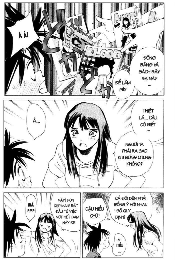 parallel chapter 7 19