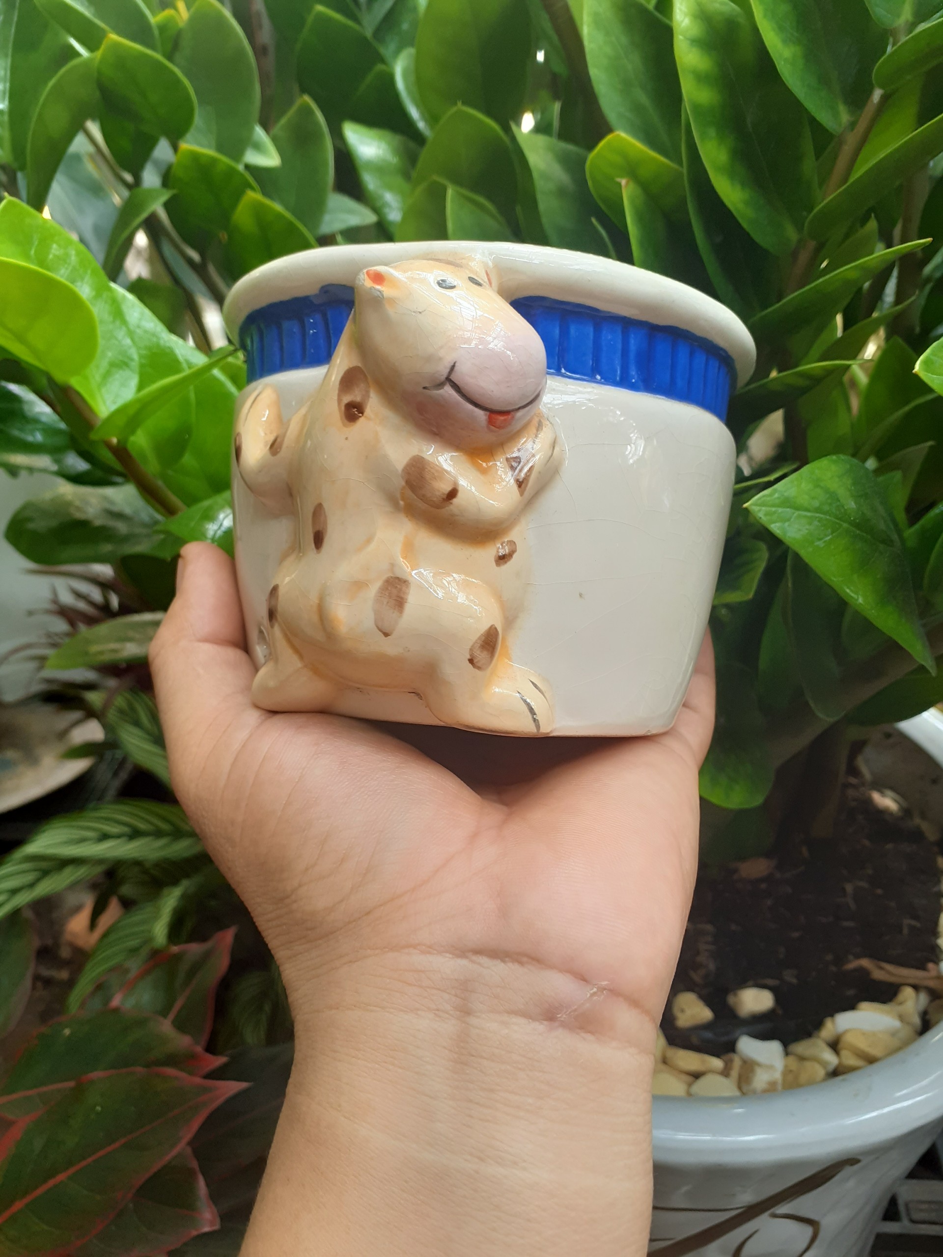 *** Chậu bé bò vàng trồng cây xinh xắn dễ thương ***